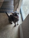 20231013_120739.jpg