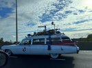 IMG_5494.jpeg