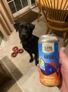 IMG_6774.jpeg