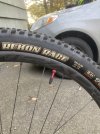 IMG_2246.jpeg