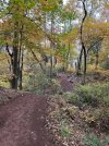 IMG_0168.jpeg
