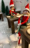IMG_0229.jpeg