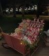 IMG_0161.jpeg