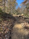 IMG_0204.jpeg