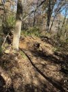 IMG_0206.jpeg
