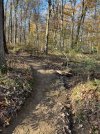 IMG_0201.jpeg