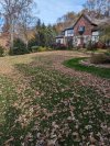 PXL_20231108_173630555.jpg
