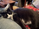 IMG_5603.jpeg