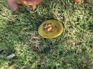 20231121_111358.jpg