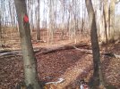 IMG_20231125_112332.jpg