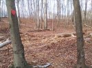 IMG_20231125_113806.jpg