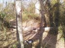 IMG_20231125_115931.jpg