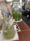 IMG_1365.jpeg