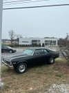 IMG_0806.jpeg