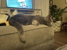 IMG_0162.jpeg