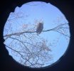 IMG_8515.jpeg