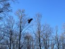 IMG_8529.jpeg