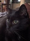 PXL_20231217_132627470.PORTRAIT.ORIGINAL.jpg