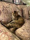 IMG_3643.jpeg