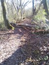 IMG_20231221_130954.jpg