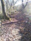 IMG_20231221_131519.jpg