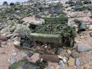 IMG_9792.jpeg