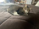 IMG_3802.jpeg
