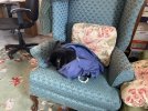IMG_4196.jpeg