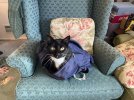 IMG_4195.jpeg