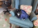 IMG_4197.jpeg