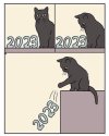 IMG_5816.jpeg