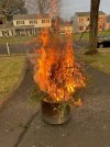 IMG_5052.jpeg