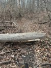 IMG_0160.jpeg