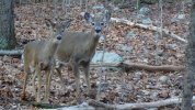 Dsc01277.jpg
