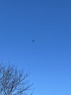 IMG_2976.JPG