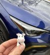 IMG_1256.jpeg