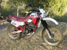 yamahaxt600.jpg