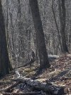 IMG_0246.jpeg