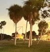IMG_6302.jpeg