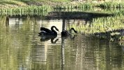 IMG_5099.jpeg