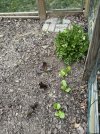 IMG_6144.jpeg
