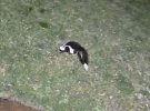 IMG_5841.jpeg