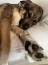 IMG_7705.jpeg