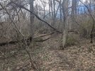 PXL_20240405_191500305.jpg