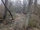 PXL_20240405_200123619.jpg
