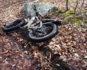 Dsc01649.jpg