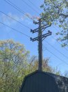 IMG_9771.jpeg