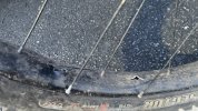 IMG_6226.jpeg