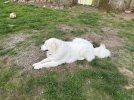 IMG_4202.jpeg
