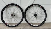 IMG_1031.jpeg